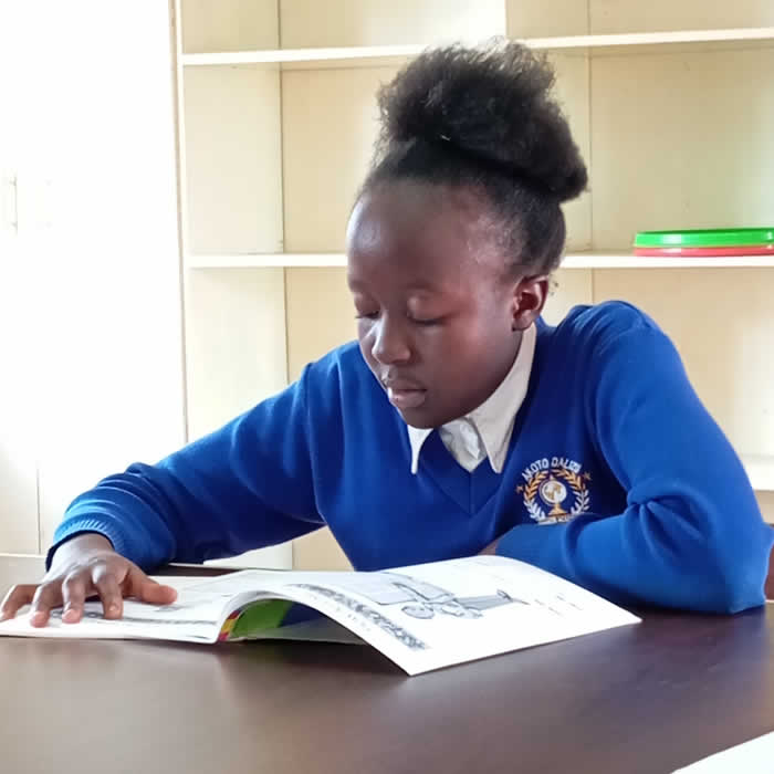 Akoto Dalizu Premier Academy - Junior School