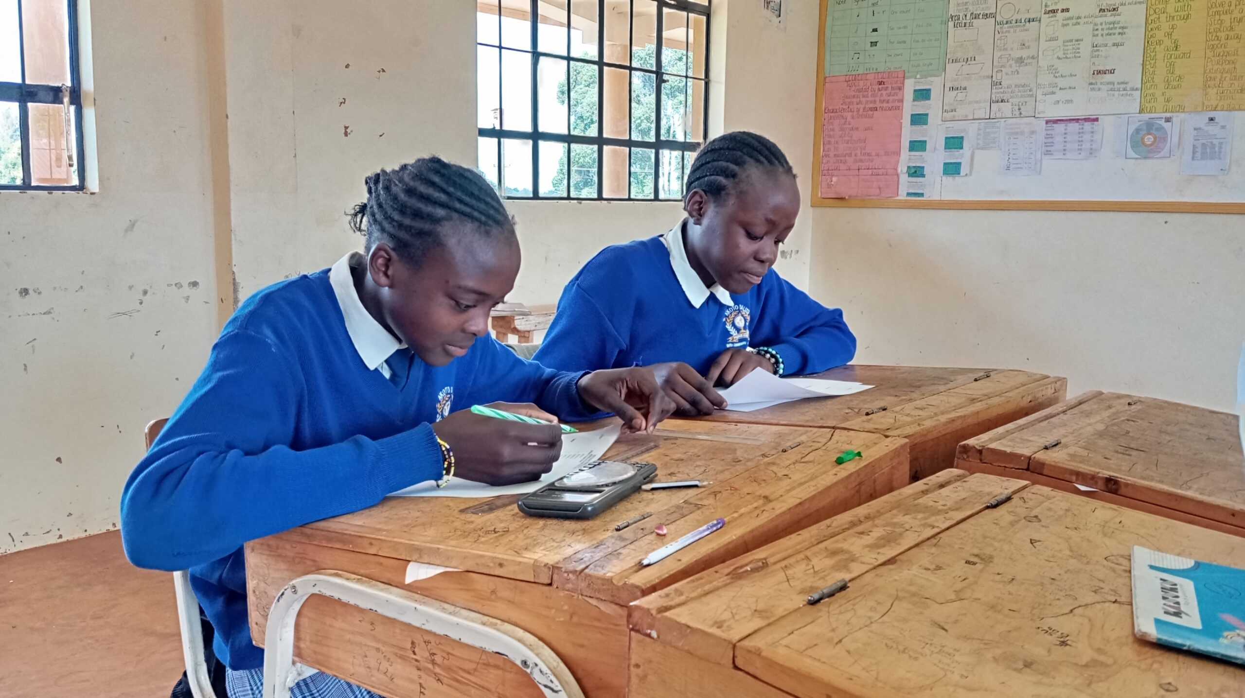 Akoto Dalizu Premier Academy - Junior School