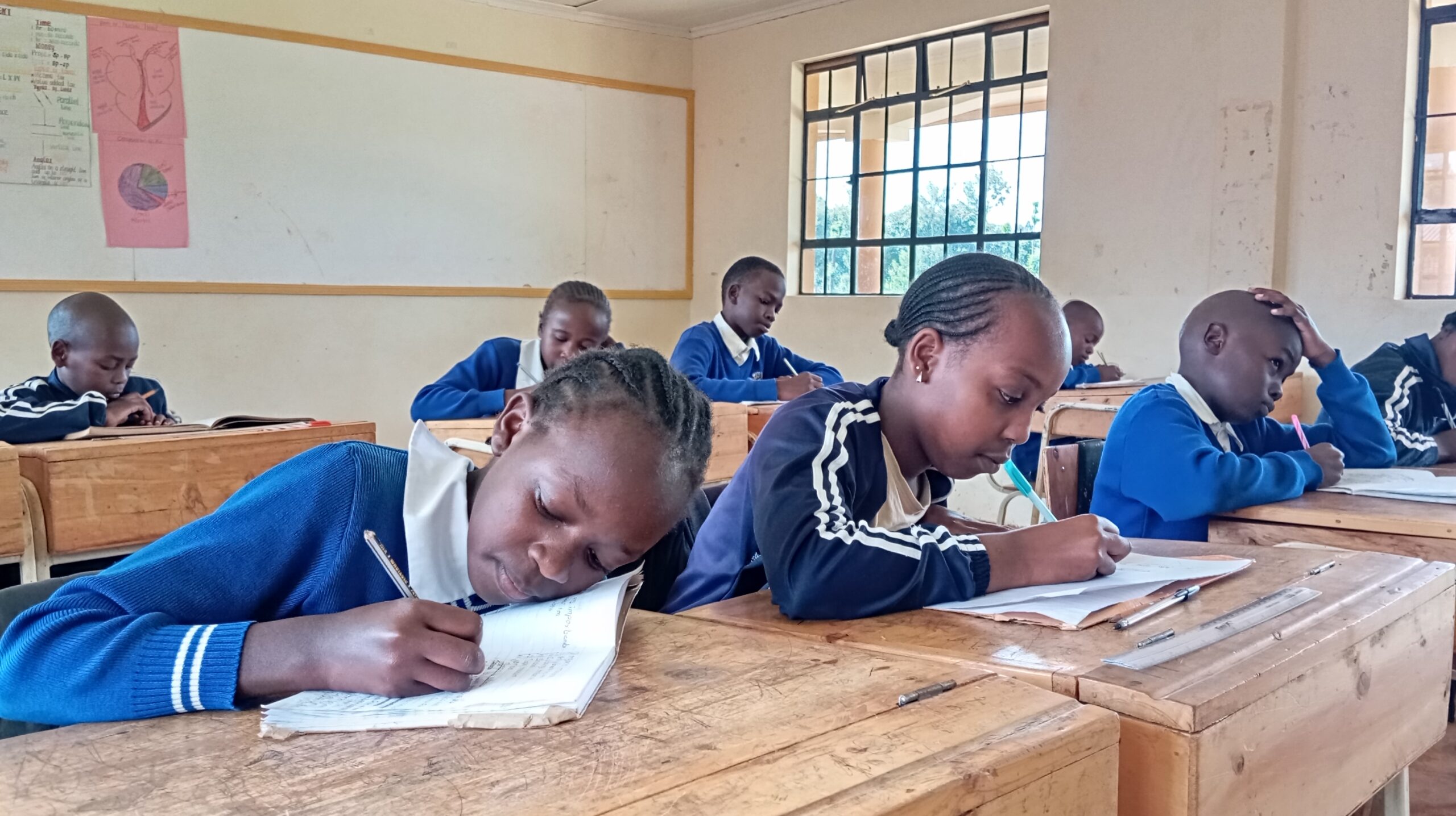 Akoto Dalizu Premier Academy-Primary