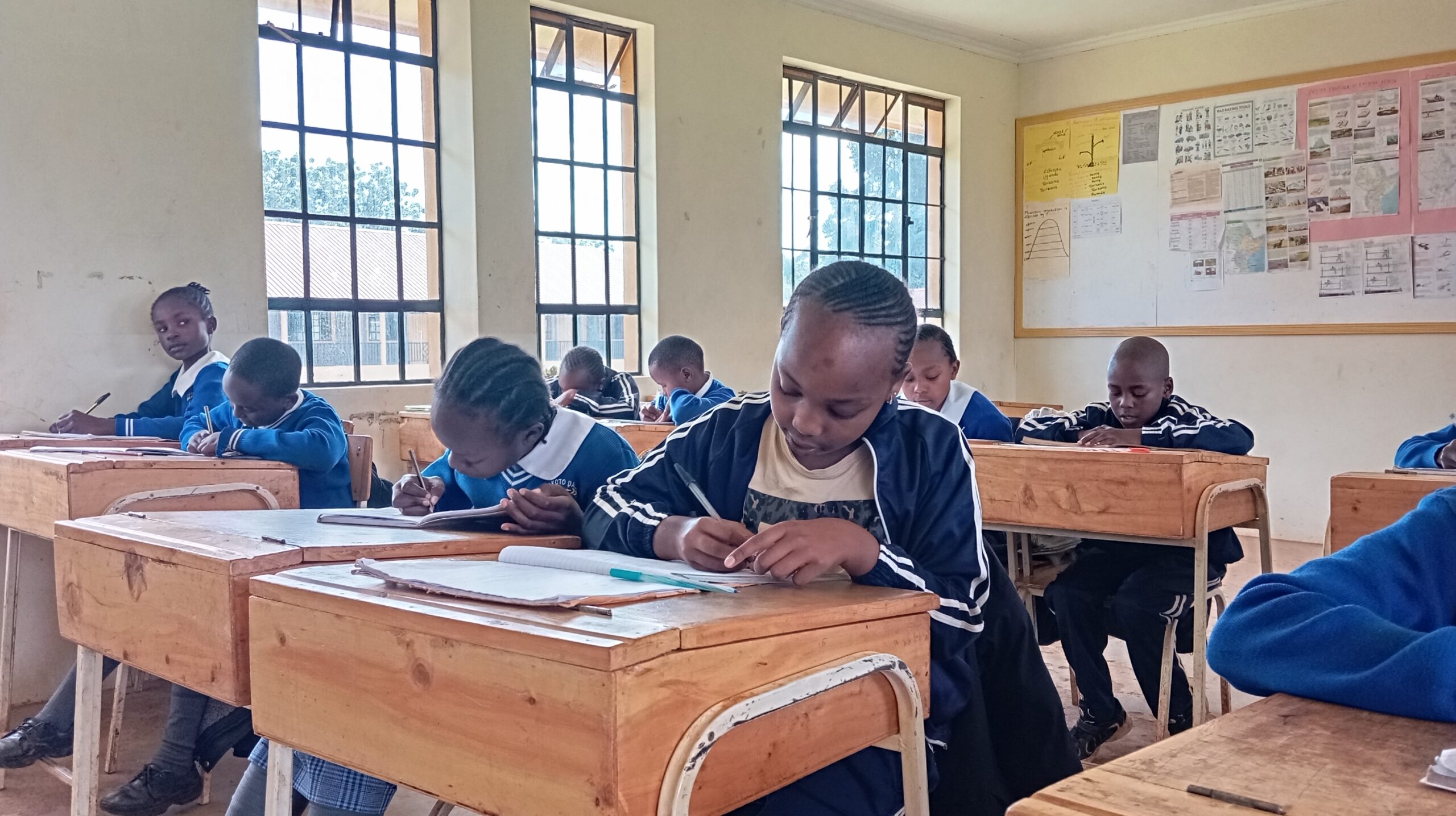 Akoto Dalizu Premier Academy - Primary