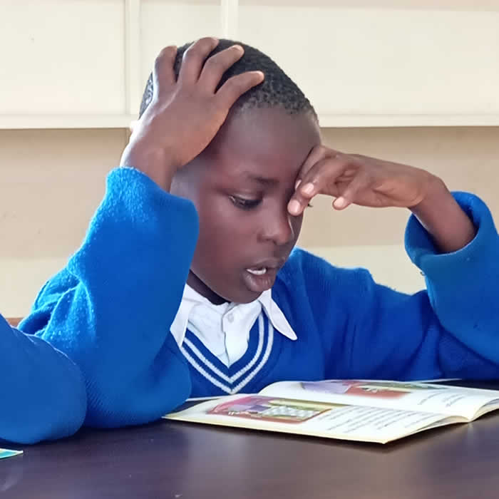 Akoto Dalizu Premier Academy - Primary